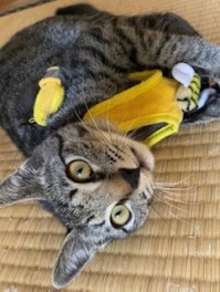 台風にお気をつけください